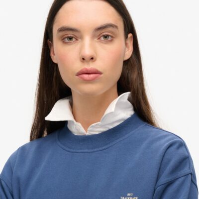 Superdry Luxe Metallic Logo Loose Sweat