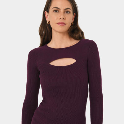 FORCAST Maryam Cut Out Knit Top