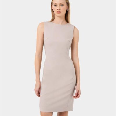 FORCAST Taylor Fitted Dress