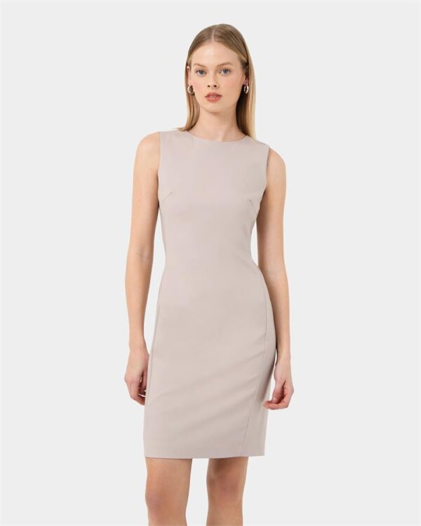 FORCAST Taylor Fitted Dress