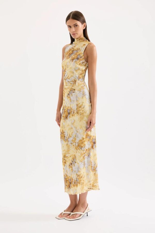 Nude Lucy Lumine Mesh Maxi Dress Print