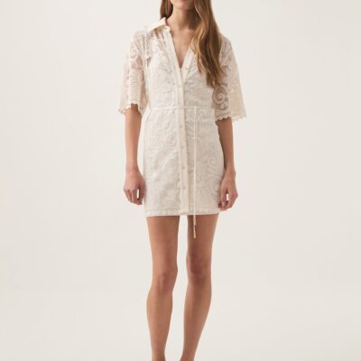 Aje. Muses Lace Mini Dress