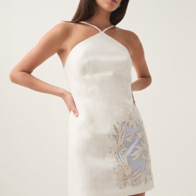 Aje. Mirrors Embroidered Mini Dress