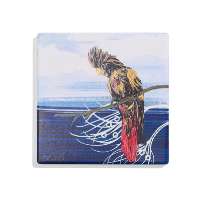 Black Pepper Red Tail Back Cockatoo Coaster