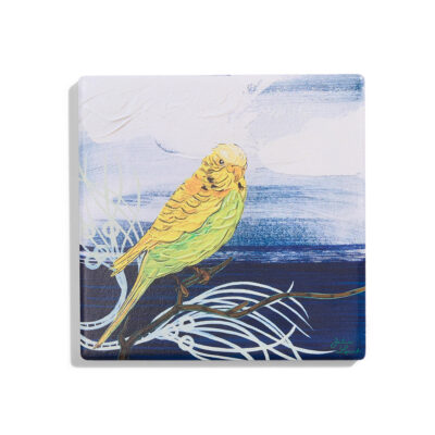 Black Pepper Budgie Coaster