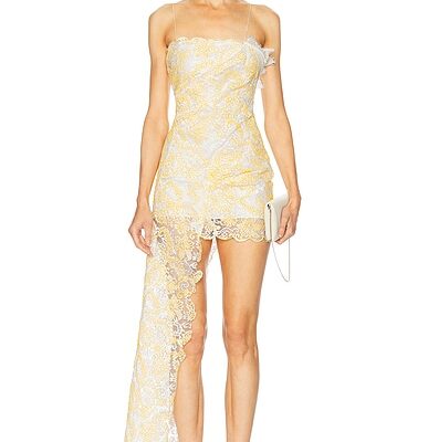 Christopher Esber Floating Lace Cami Mini Dress