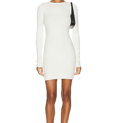 Eterne Long Sleeve Crewneck Mini Dress