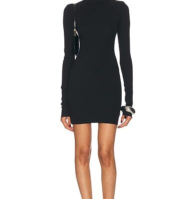 Eterne Long Sleeve Turtleneck Mini Dress