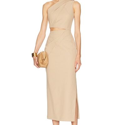 Max Mara Nievo Dress