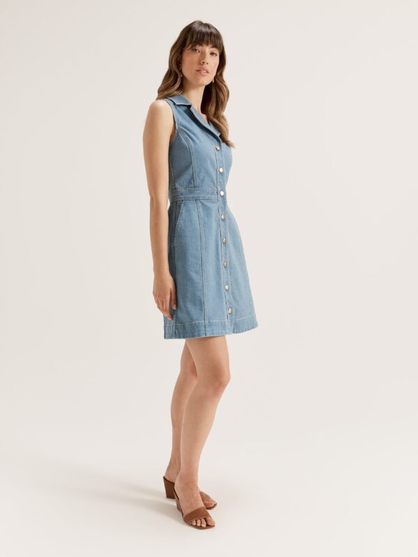 REVIEW Charlize Denim Dress