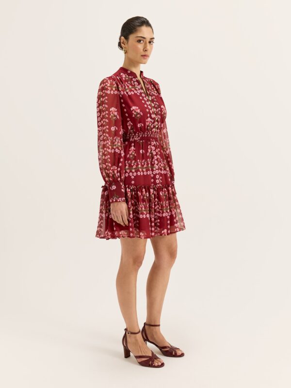 REVIEW Alpine Rose Mini Dress - Image 3