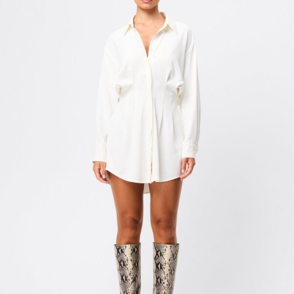 Good Intentions Mini Dress