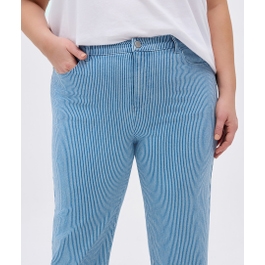 The Premium Denim Striped Jean