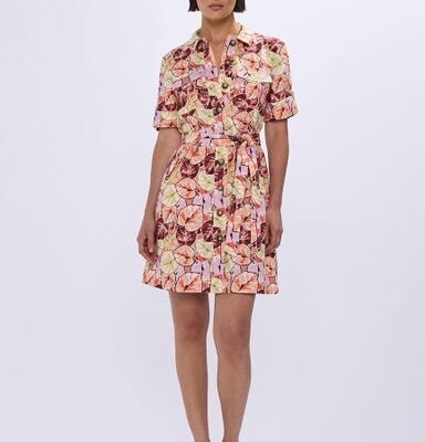 Marcs Plant Touch This Shirt Dress