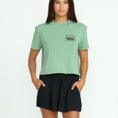 Stoneshine Shorts
