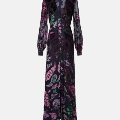 Etro Embroidered Sheer Gown