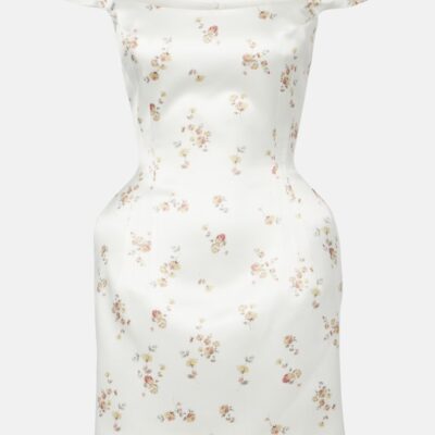 Magda Butrym Floral Off-Shoulder Silk Minidress