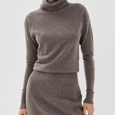 Cassidy Turtleneck Mini Dress