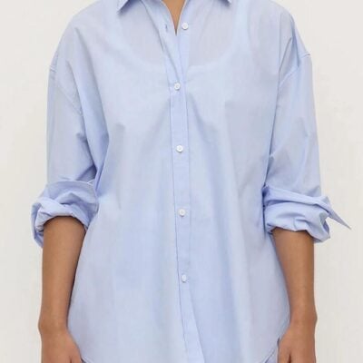Assembly Label Havana Stripe Long Sleeve Shirt — Blue White Stripe