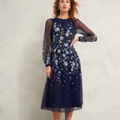 Hobbs Blue Lois Embroidered Dress