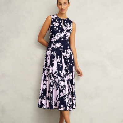 Hobbs Blue Angelicas Dress