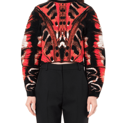 Alexander Mcqueen Butterfly Jacquard Knitwear
