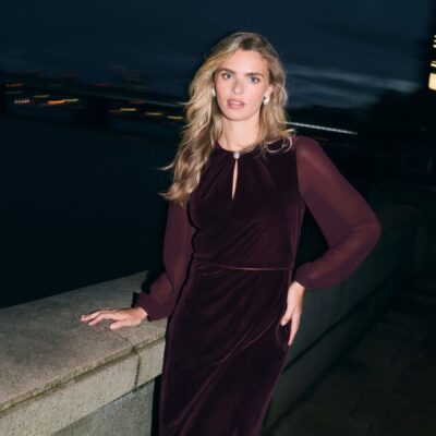 Hobbs Purple Willow Velvet Dress