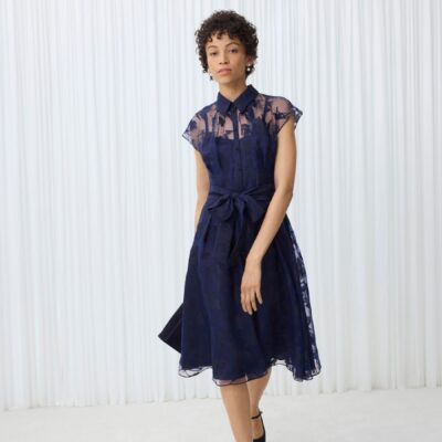 Hobbs Blue Tess Dress