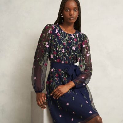 Hobbs Blue Petite Emmy Dress