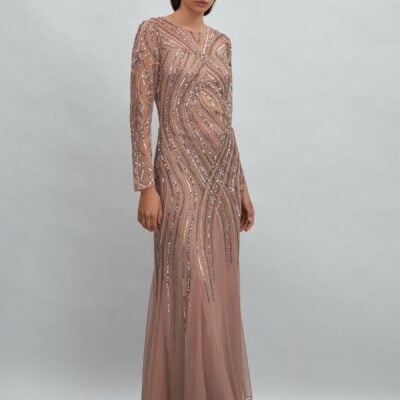 Raishma Embellished Tulle Maxi Dress