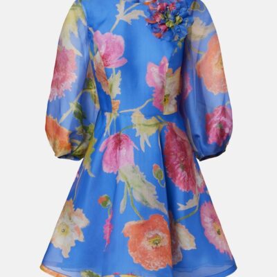 Carolina Herrera Floral Silk Organza Minidress