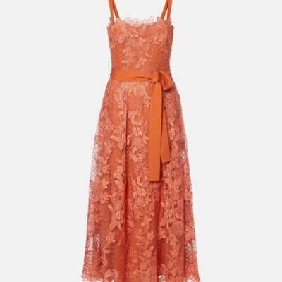 Elie Saab Embroidered Lace And Tulle Cocktail Dress