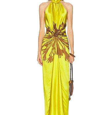 Silvia Tcherassi Koori Dress