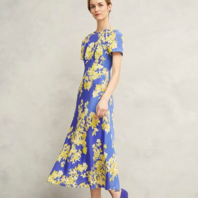 Hobbs Blue Petite Ann Dress