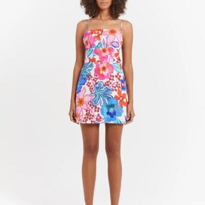 Lulu & Rose Malia Mini Dress Size XXS Tropicana