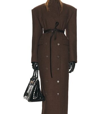 Helsa Italian Wool Blend Extra Long Coat
