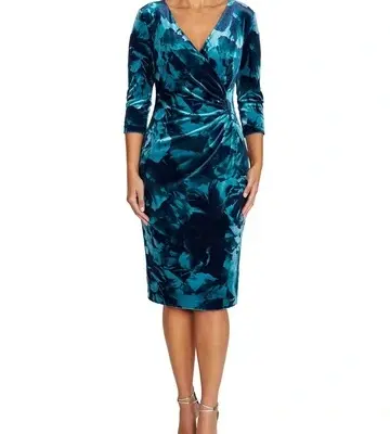 Anthea Crawford Nola Rose Printed Velour Dress