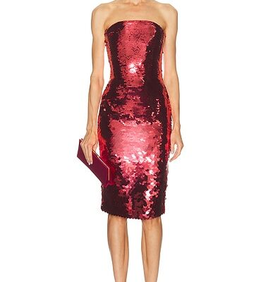 Alex Perry Strapless Curved Corset Dress