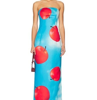 LEO LIN Rayna Bustier Maxi Dress