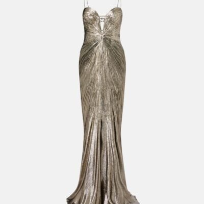 Maria Lucia Hohan Dakota Lamé Chiffon Gown