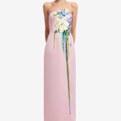 LEO LIN Rayna Embroidered Bustier Maxi Dress - Bouquet Print in Pastel Pink - Image 2