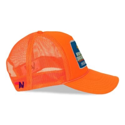 Aviator Nation WINDY CITY SMOKEOUT 2025 VINTAGE LOW RISE TRUCKER — ROYAL - Image 2