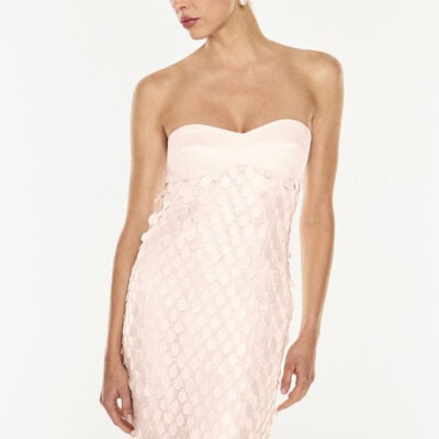 Manning Cartell Supreme Extreme Balconette Dress — ROSEWATER - Image 2