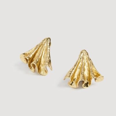 Aje Elera Stud - Image 1