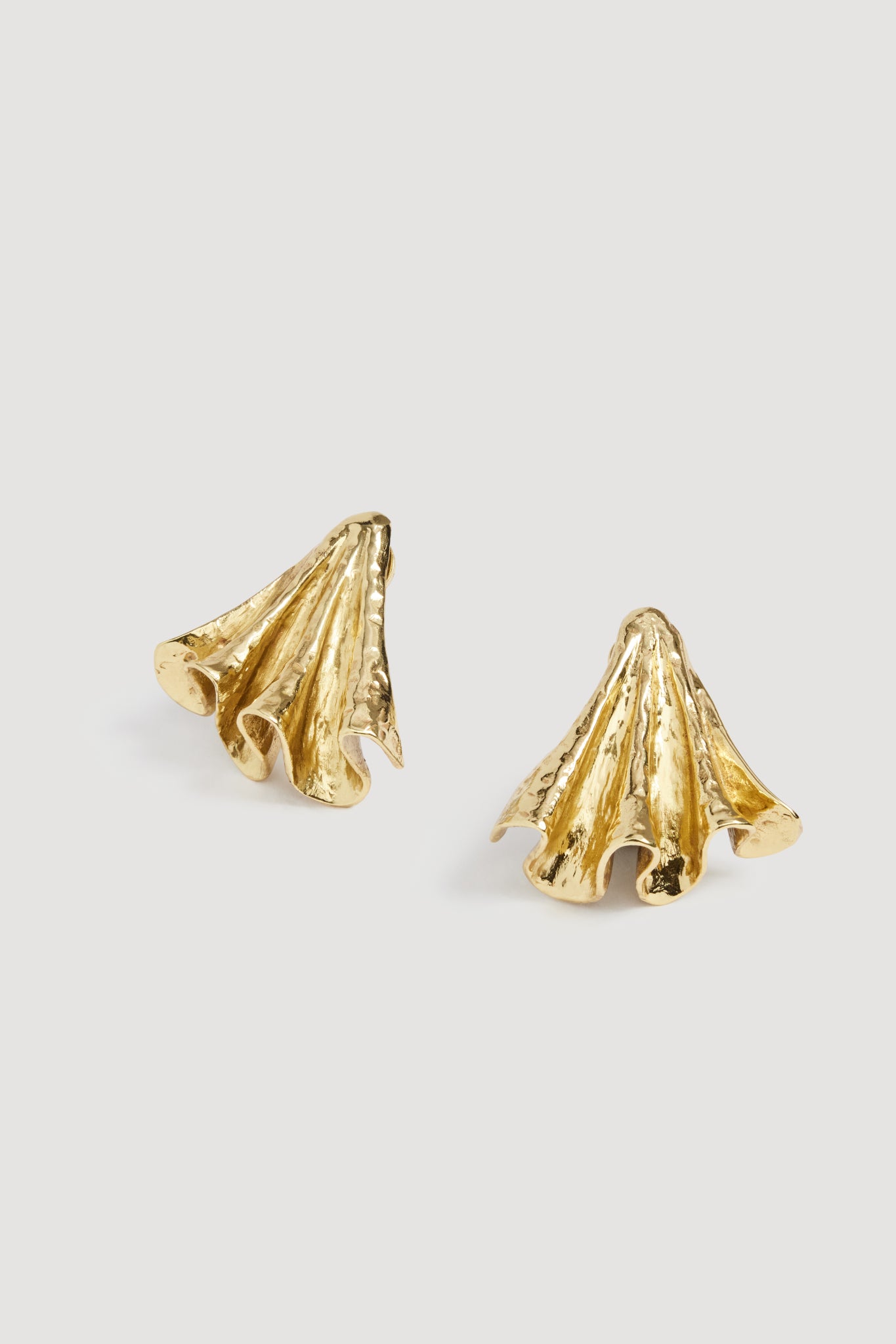 Aje Elera Stud - Image 1