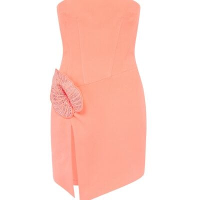 David Koma Rhinestone Leaf and Corset Top Mini Dress Pink - Image 1