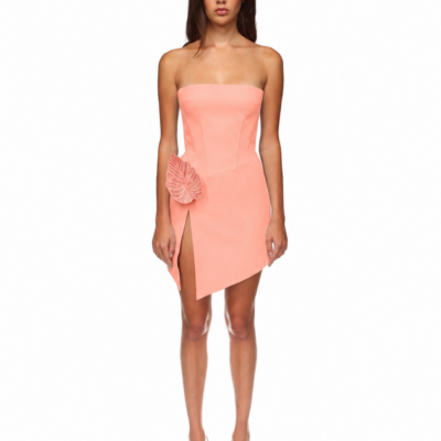 David Koma Rhinestone Leaf and Corset Top Mini Dress Pink - Image 2