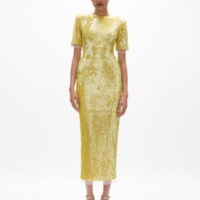 Rachel Gilbert Kaia Sleeve Dress - Image 1