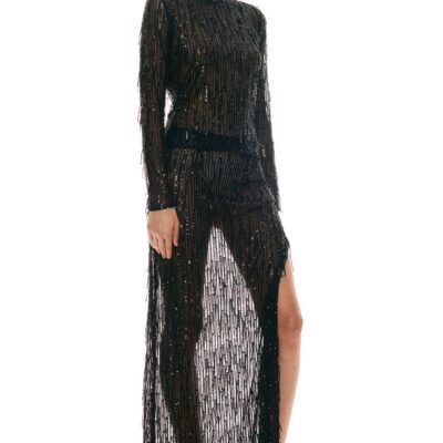 Sid Neigum Sheer Fringe Sequin Top - Image 2