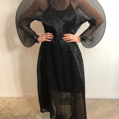 Sid Neigum Signature Sheer Pleated Dress - Image 2